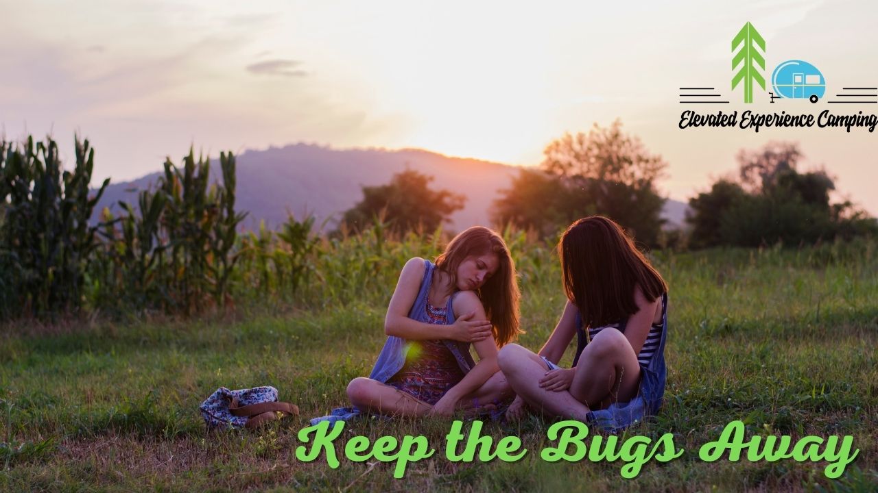 Keep the Bugs Away